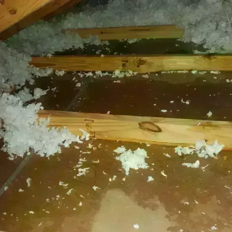 Attic Water Damage in Johnstown, OH