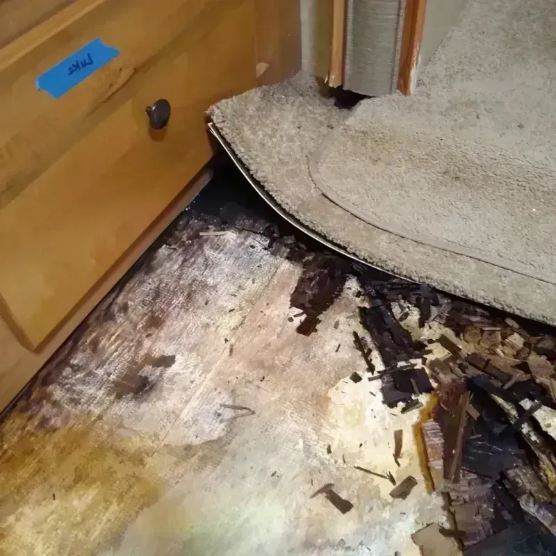 Best Wood Floor Water Damage Service in Johnstown, OH